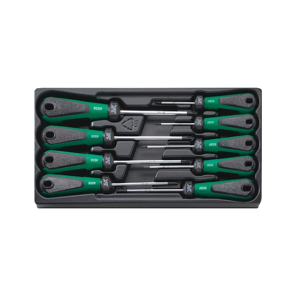 STAHLWILLE TX screwdriver set 3K DRALL 4899 9-piece 96489910 - Screwdriver set