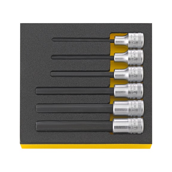 STAHLWILLE Schraubendrehereinsätze-Satz INHEX TCS 1054/2054 6-teilig 96838117 - Schraubendrehereinsatz (Sortiment)