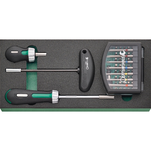 STAHLWILLE Bit set in TCS insert TCS 2 821/59 59-piece 96830265 - Bit set