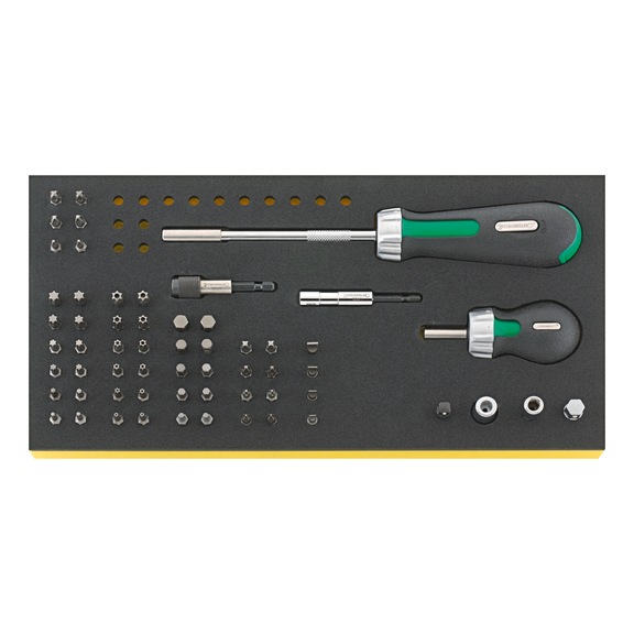 STAHLWILLE tool in TCS insert TCS 4008/8/52 60-piece 96838773 - Bit set
