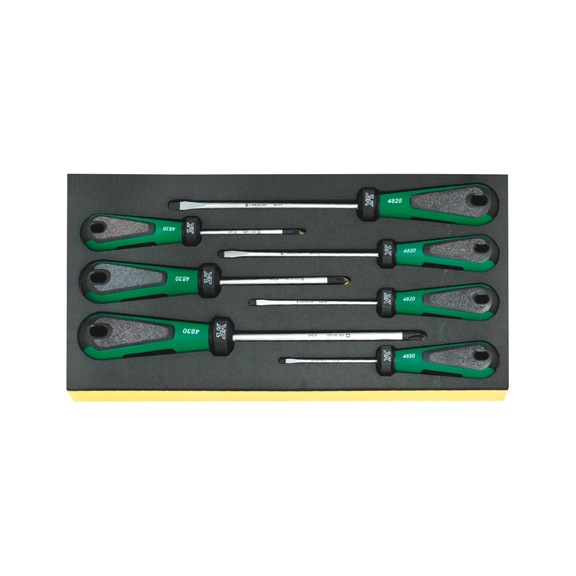 STAHLWILLE Screwdriver set 3K DRALL TCS 4820/4830 7-piece 96838184 - Screwdriver set
