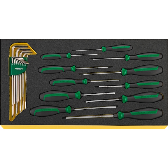 STAHLWILLE Screwdriver set DRALL TCS WT 4622-4650-1 24-piece 96830126 - Screwdriver set