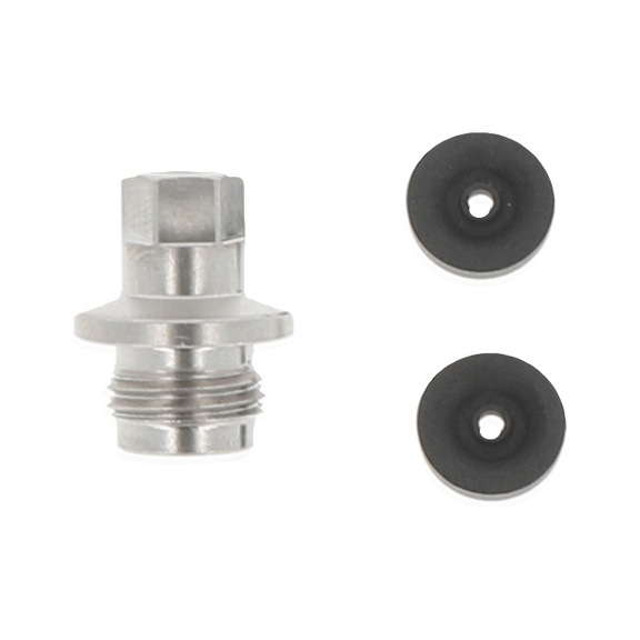 SATA Packungsschraube inkl. 2 Stück Farbnadeldichtung 1134808 - Dichtungs