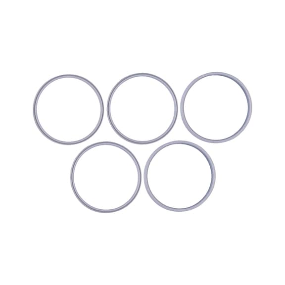 SATA Sealing ring & sealing disc