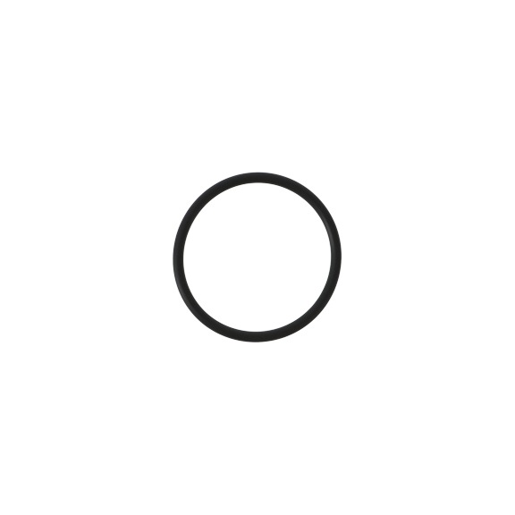 SATA O-Ring für SATA Filterbaureihen 100, 200, 300 und 400 22152 - Weiteres Zubehör für Filtertechnik