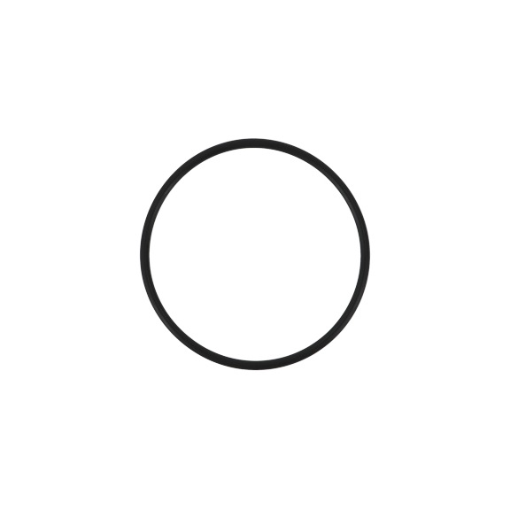 SATA O-ring for SATA ASS housing 22947 - Further accessories for respiratory protection