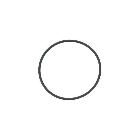 SATA O-ring for SATA vario top spray 47092 - Other spare parts