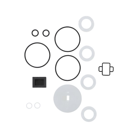 SATA repair kit control unit for SATA vario top spray 60038 - Other spare parts