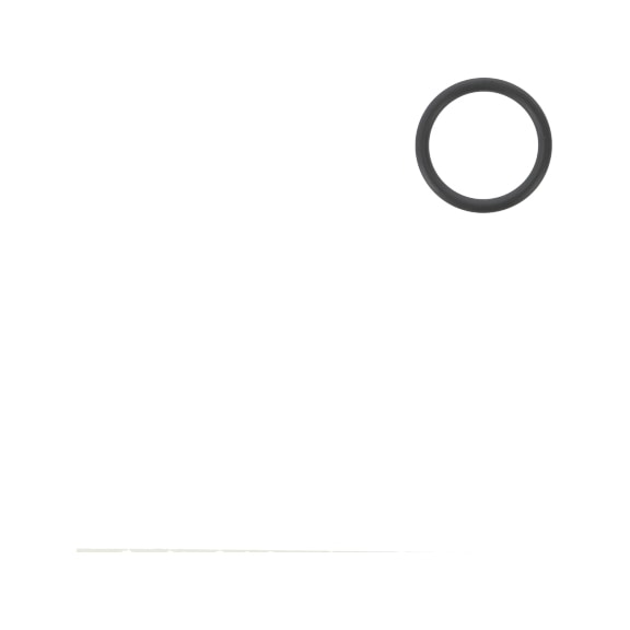 SATA O-ring for SATA vario top spray 62307 - Other spare parts