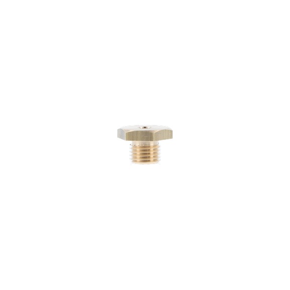 SATA banjo bolt for SATA LP90 64154 - Other spare parts