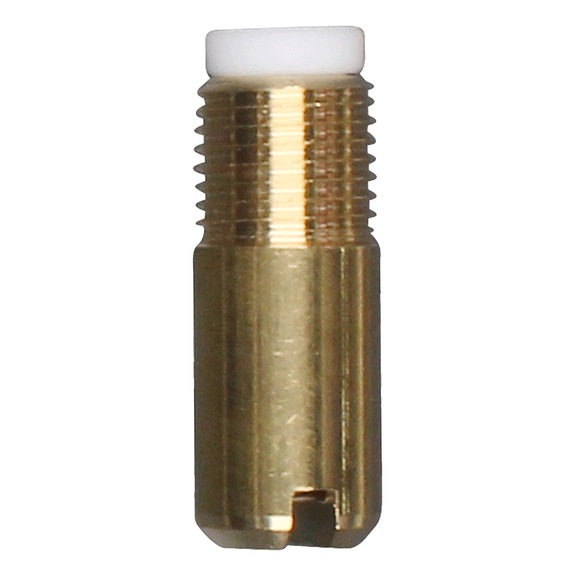 SATA inlet valve with spring and ball for SATA HRS 68890 - Other spare parts