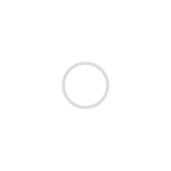 SATA tömítőgyűrű a SATAjet K3-hoz 98442 - Tömítőgyűrű és tömítőtárcsa