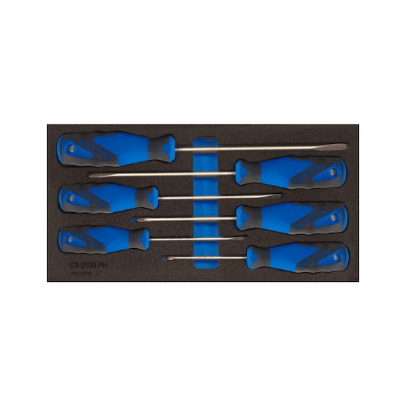 GEDORE screwdriver in check tool module 6-piece 2309149 - Screwdriver set