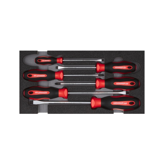 GEDORE RED Schraubendrehersatz PZ+SL 2/6 CT-Modul 6-teilig 3301713 - Schraubendreher-Satz