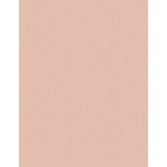 3M Lapping Film 261X 5.0 Micron Sheet 215.9 mm x 279 mm 7000000286 - Film sheet