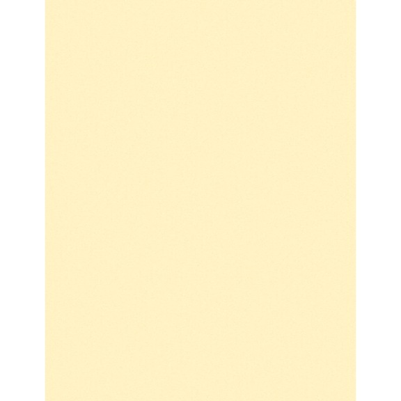 3M Lapping Film 261X 12,0 Micron Bogen 215,9 mm x 279 mm 7000000296 - Filmbogen