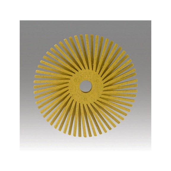 3M Scotch Brite (TM) Radial Bristle Brush RB-ZB pink Pumin type C 7000000760 - Radial bristle brush