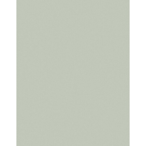 3M Lapping Film 265X 1.0 Micron PSA Sheet 215.9 mm x 279 mm 7000028118 - Film sheet