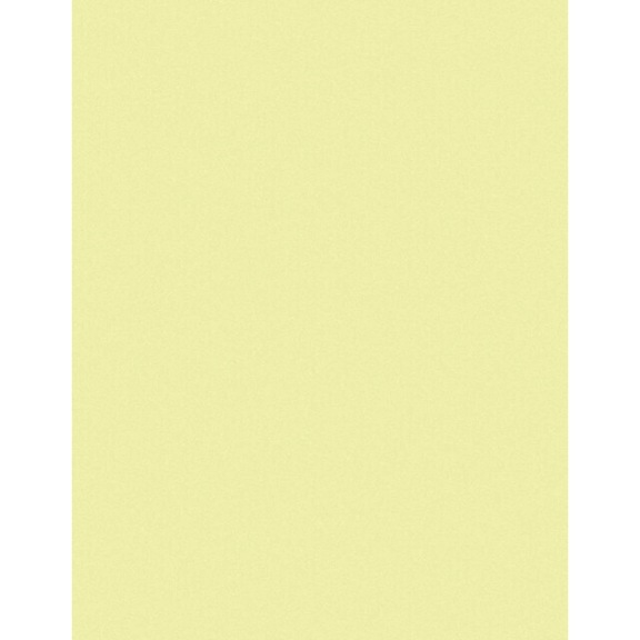 3M 291X Polishing Film 0.5 micron ASO roll 101.6 mm x 45.72 m 7000060923 - Film roll