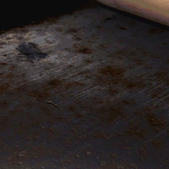 3M Adhesive tape double-sided 5363 F Grey 0.5 mm 500 mm x 66 m 7000072667 - Polyethylene adhesive tape