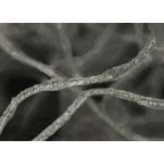 3M Scotch-Brite (TM) compact washer 115 mm x 22 mm 2S FIN 7010412238 - Abrasive made from bonded abrasive with bore or thread