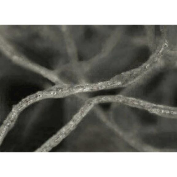 3M Scotch-Brite (TM) compact disc 115 mm x 22 mm C CRS+ 7100109111 - Abrasive made from bonded abrasive with bore or thread