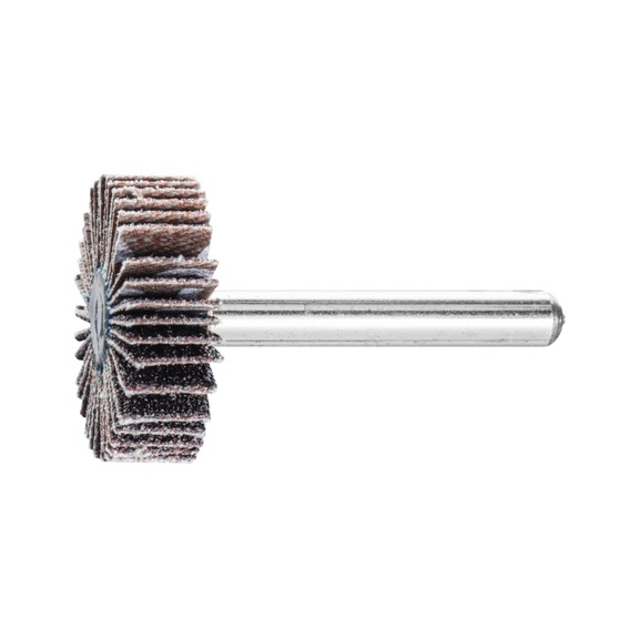 PFERD SIC flap disc F diameter 30x10mm shaft diameter 6 mm SIC60 - Fan sander