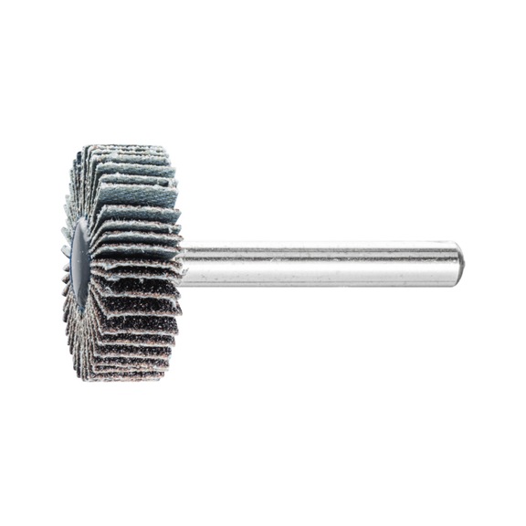 PFERD SIC flap disc F diameter 30x10mm shaft diameter 6 mm SIC80 - Fan sander