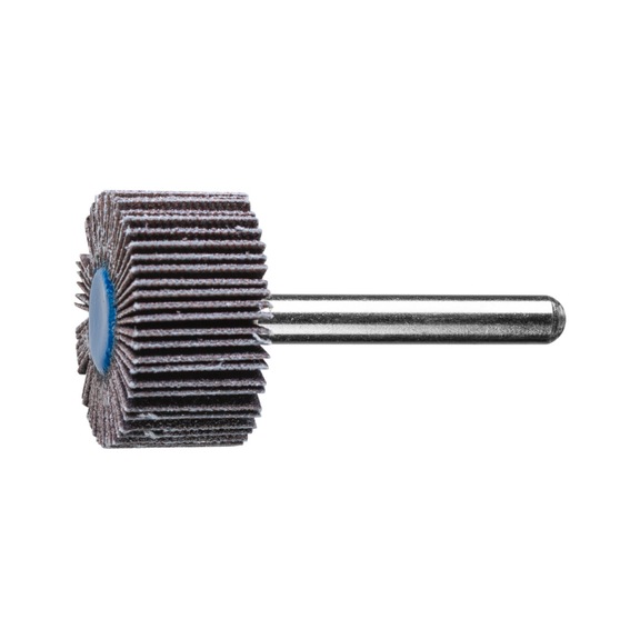 PFERD SIC flap disc F diameter 30x15 mm shaft diameter 6 mm SIC150 - Fan sander