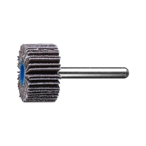 PFERD SIC flap disc F diameter 30x15 mm shaft diameter 6 mm SIC60 - Fan sander