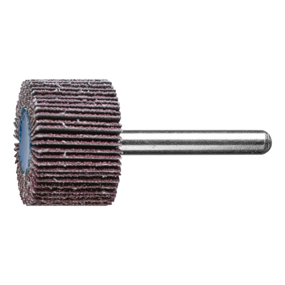 PFERD corundum flap disc F diameter 30x20mm shaft diameter 6 mm A60 - Fan sander