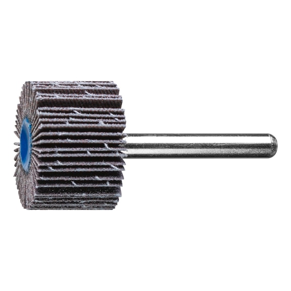 PFERD SIC flap disc F diameter 30x20mm shaft diameter 6 mm SIC120 - Fan sander