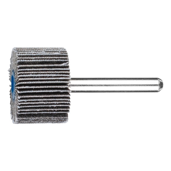 PFERD SIC flap disc F diameter 30x20mm shaft diameter 6 mm SIC150 - Fan sander