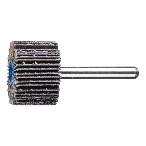 PFERD SIC Fächerschleifer F Durchmesser 30x20mm Schaft-Durchmesser 6 mm SIC80 - Fächerschleifer