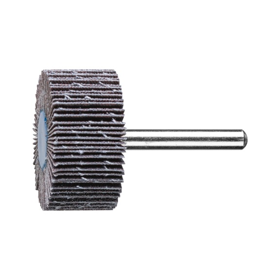 PFERD SIC flap disc F diameter 40x20mm shaft diameter 6 mm SIC120 - Fan sander