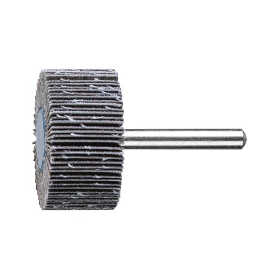 PFERD SIC flap disc F diameter 40x20mm shaft diameter 6 mm SIC150 - Fan sander