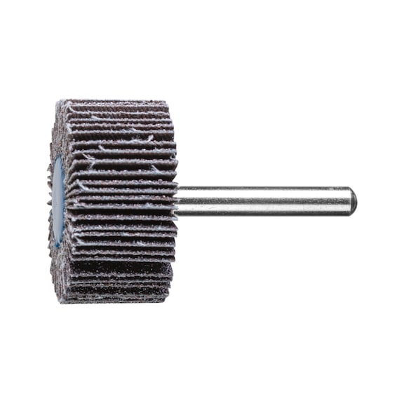 PFERD SIC flap disc F diameter 40x20mm shaft diameter 6 mm SIC60 - Fan sander