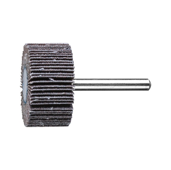 PFERD SIC flap disc F diameter 40x20mm shaft diameter 6 mm SIC80 - Fan sander