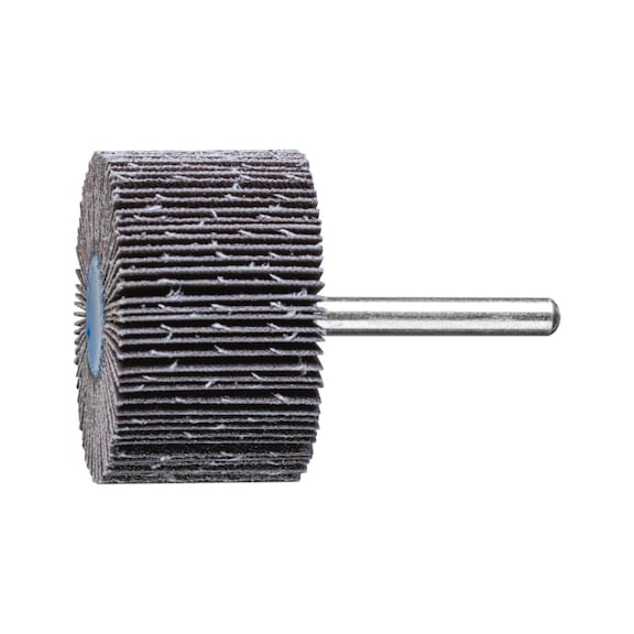 PFERD SIC Fächerschleifer F Durchmesser 50x30mm Schaft-Durchmesser 6 mm SIC120 - Fächerschleifer