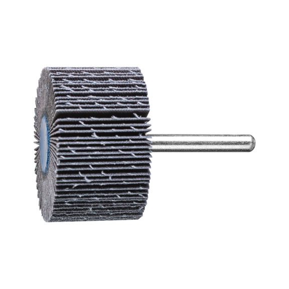 PFERD SIC flap disc F diameter 50x30mm shaft diameter 6 mm SIC150 - Fan sander