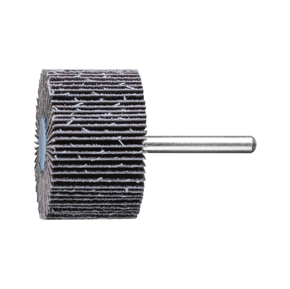 PFERD SIC Fächerschleifer F Durchmesser 50x30mm Schaft-Durchmesser 6 mm SIC60 - Fächerschleifer