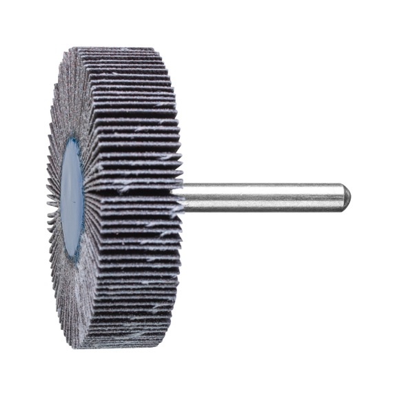 PFERD SIC flap disc F diameter 60x15 mm shaft diameter 6 mm SIC120 - Fan sander