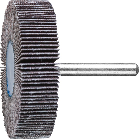 PFERD SIC flap disc F diameter 60x15 mm shaft diameter 6 mm SIC150 - Fan sander