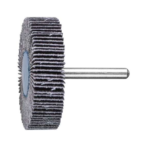 PFERD SIC flap disc F diameter 60x15 mm shaft diameter 6 mm SIC60 - Fan sander