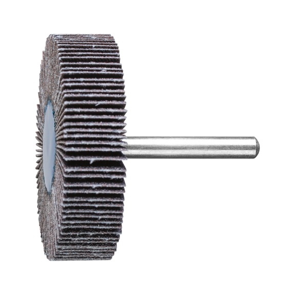 PFERD SIC flap disc F diameter 60x15 mm shaft diameter 6 mm SIC80 - Fan sander