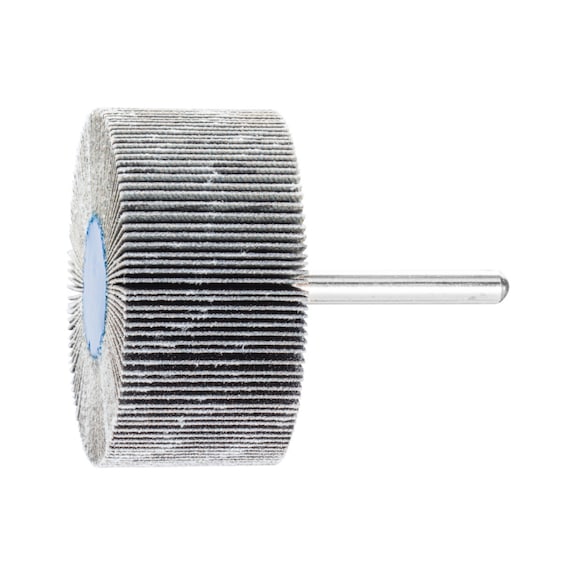 PFERD SIC flap disc F diameter 60x30mm shaft diameter 6 mm SIC150 - Fan sander