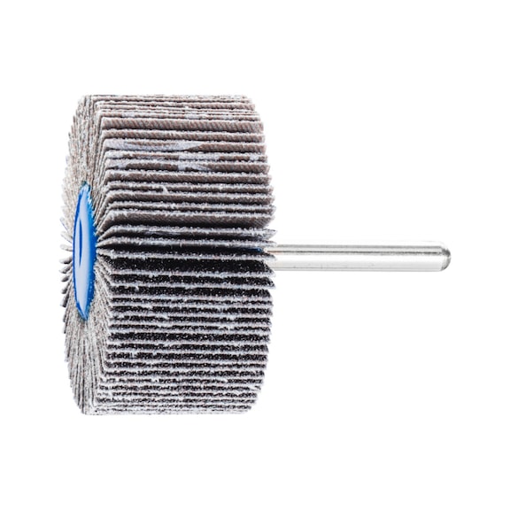 PFERD SIC Fächerschleifer F Durchmesser 60x30mm Schaft-Durchmesser 6 mm SIC60 - Fächerschleifer