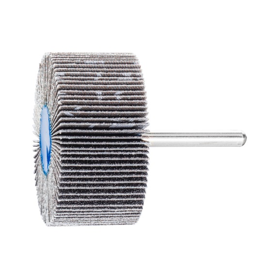 PFERD SIC Fächerschleifer F Durchmesser 60x30mm Schaft-Durchmesser 6 mm SIC80 - Fächerschleifer