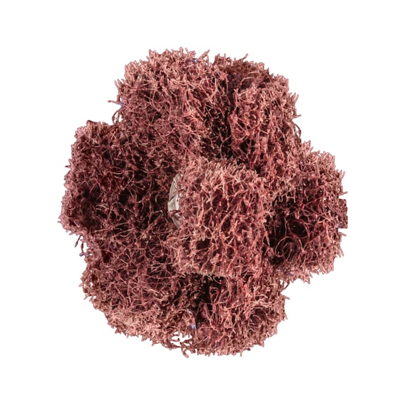 PFERD POLINOX Vlies-Schleifstern PNST Durchmesser 38 mm Gewinde 8-32 UNC A80 - Schleifwerkzeug aus Schleifmittel auf Unterlage