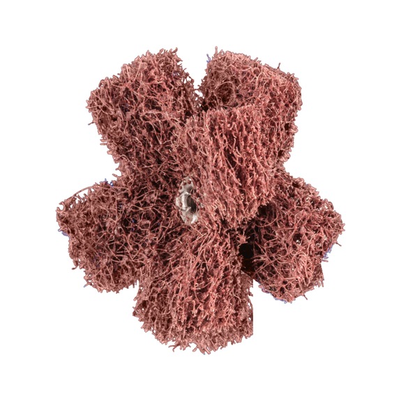 PFERD POLINOX non-woven abrasive star PNST diameter 50mm thread 8-32 UNC A80 - Abrasive tool made of abrasive on a base